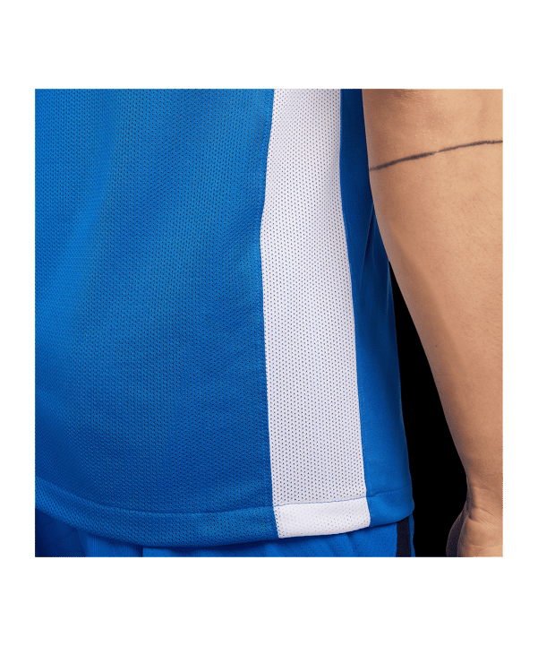 Nike Challenge V Trikot Blau Weiss F463 - blau