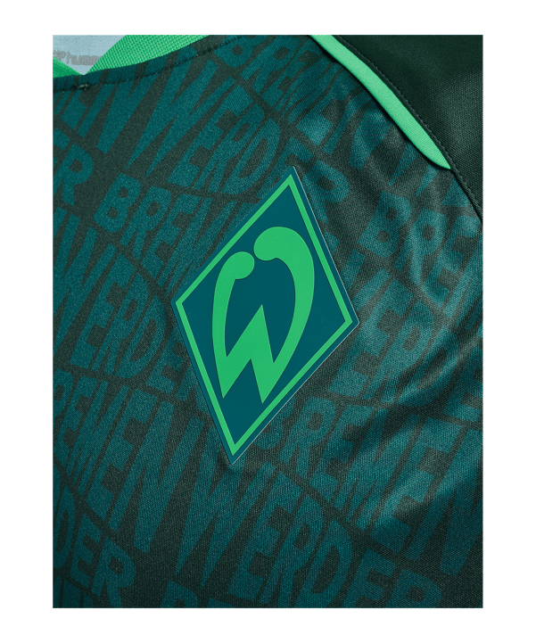 hummel SV Werder Bremen Pre Game Trikot 2026/2027 Grün F6228 - gruen