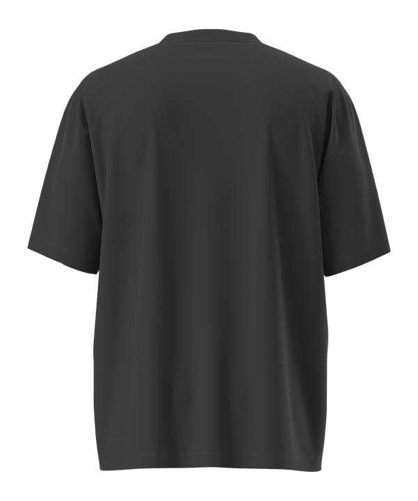 The North Face Essential Simple Dome T-Shirt Schwarz - schwarz