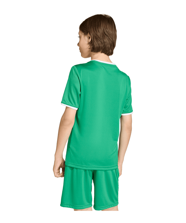 adidas Entrada 26 Trikot Kids Grün - gruen