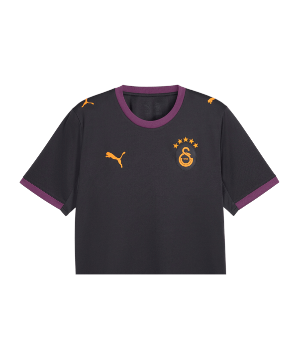 PUMA Galatasaray Istanbul Replica Maglietta Away 2026/2027 Grigio C05 - grigio