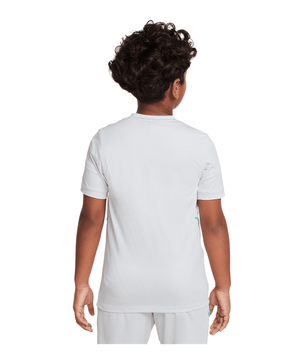 Nike Academy Erling Haaland Trainingshirt Kids Grau F025 - grau