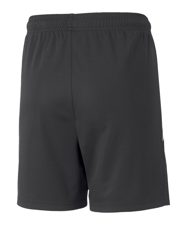 PUMA teamLIGA 2 Instinct Short Kids Schwarz F45 - schwarz