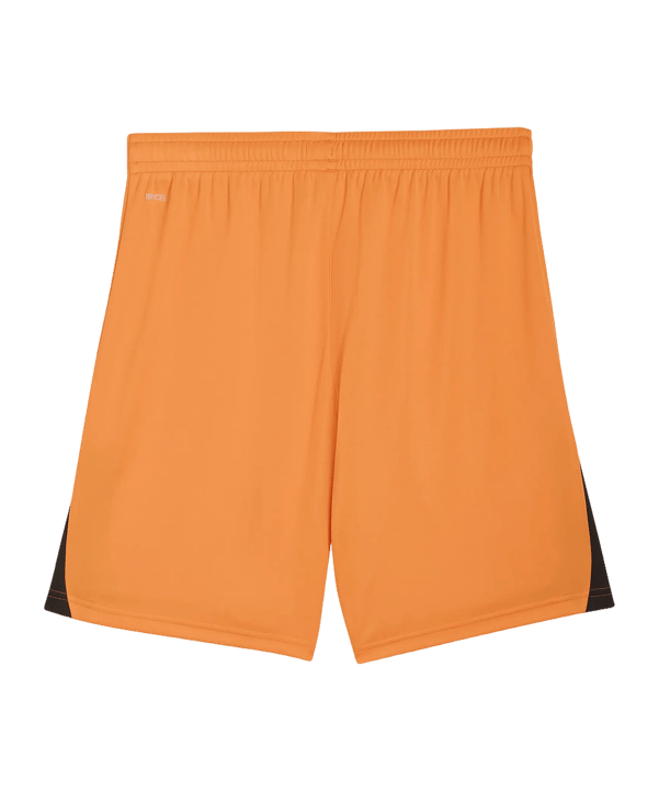 PUMA teamLIGA26 Short Orange F08 - orange