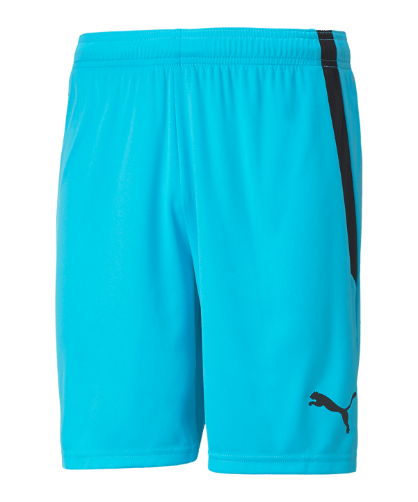 PUMA teamLIGA Short Blau Schwarz F40 - blau