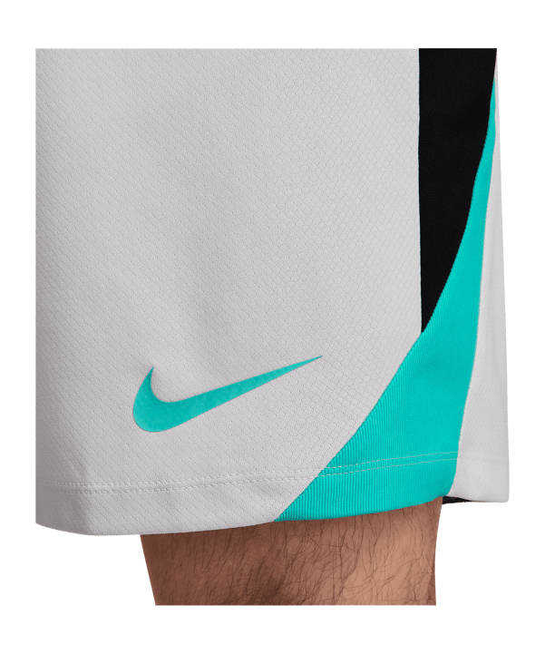 Nike Strike Short Grau F025 - grau