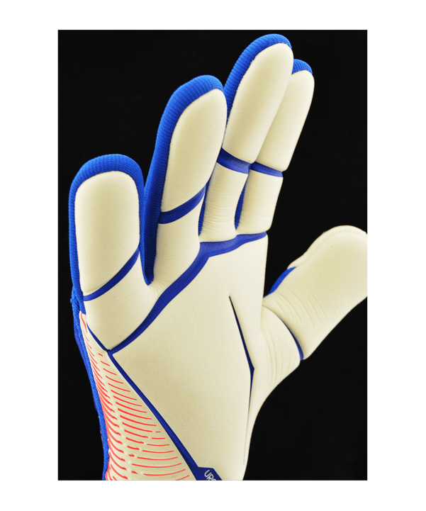 adidas Predator Pro Negative Cut Sapphire Edge Torwarthandschuhe Blau Rot - blau