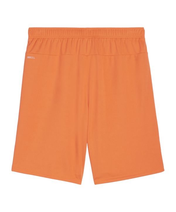 PUMA teamGOAL Short Orange Weiss F08 - orange
