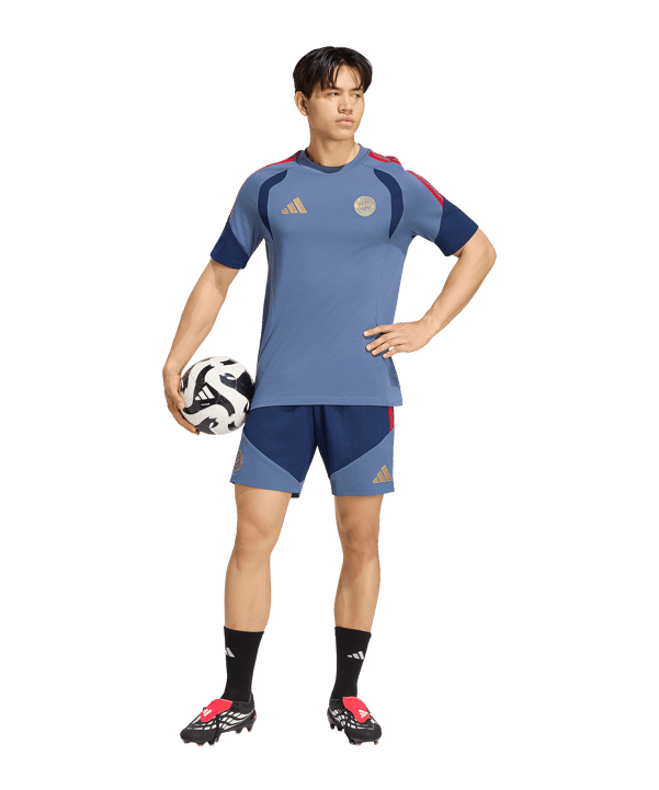 adidas FC Bayern München Downtime Short Blau - blau