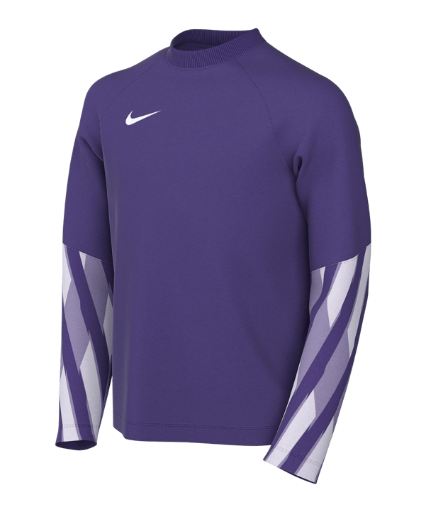 Nike Park V Trikot langarm Kids Lila F507 - lila