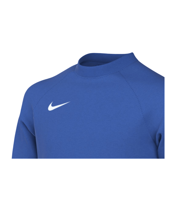 Nike Park VIII Trikot langarm Kids Blau F463 - blau