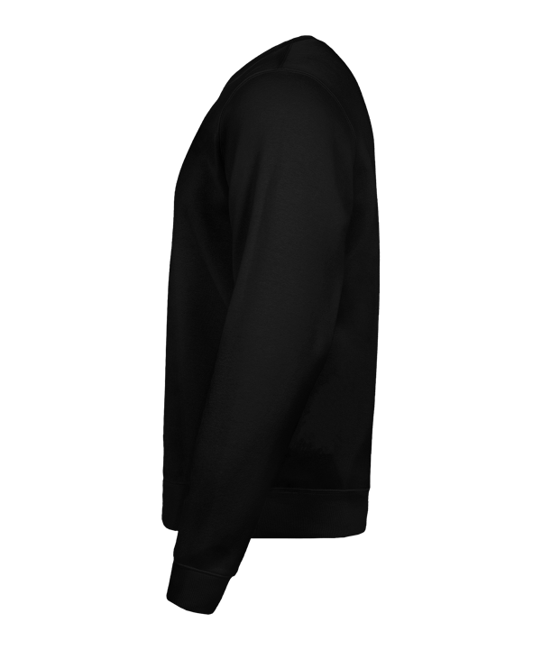 Nike Park 26 Sweatshirt Schwarz F010 - schwarz