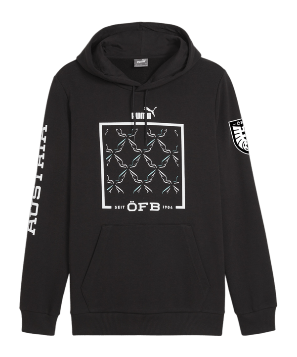 PUMA Österreich Ftbl Icons Hoody Schwarz F08 - schwarz