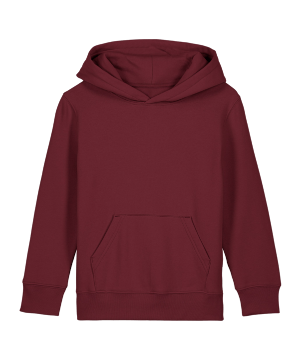 Merch Mini Cruiser 2.0 Hoody Kids Burgundy FC244 - rot