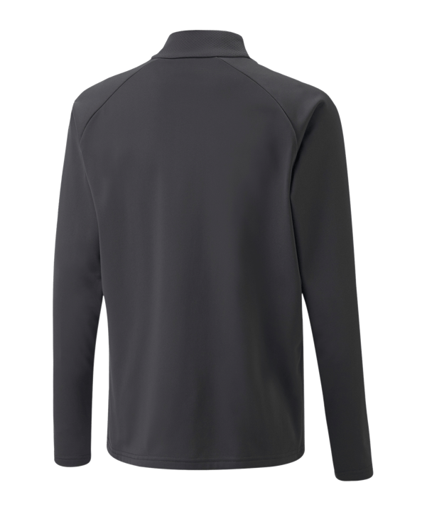 PUMA teamLIGA HalfZip Sweatshirt Kids Grau F44 - grau