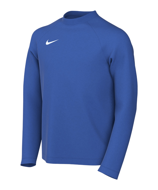Nike Park VIII Trikot langarm Kids Blau F463 - blau