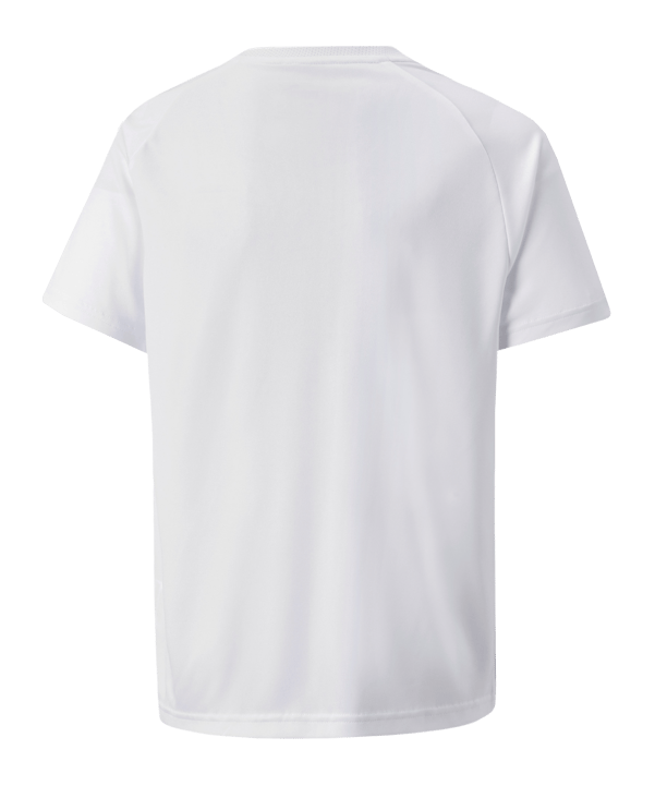 PUMA teamVISION Trikot Kids Weiss Grau F04 - weiss