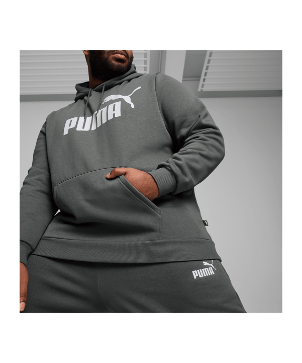 PUMA Essentials Big Logo Hoody Grau F069 - grau
