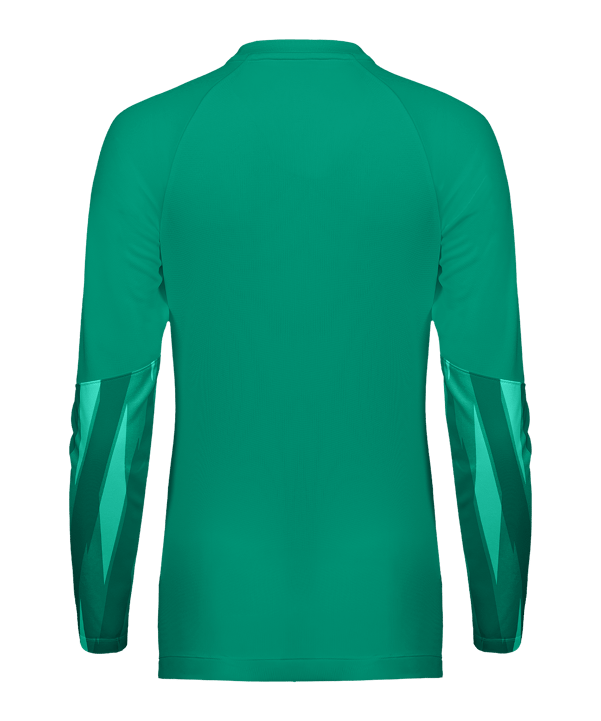Nike Park V Torwarttrikot Langarm Damen Grün F324 - gruen