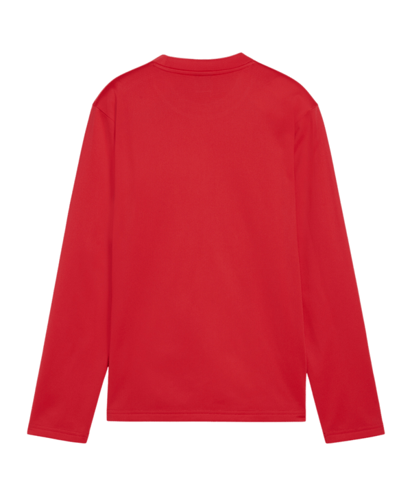PUMA teamGOAL Training Sweatshirt Kids Rot F01 - rot
