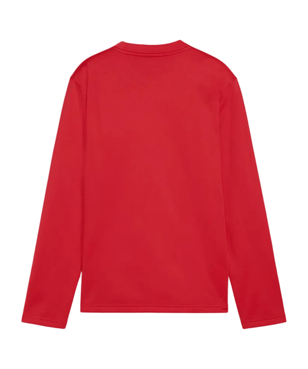 PUMA teamGOAL Training Sweatshirt Kids Rot F01 - rot