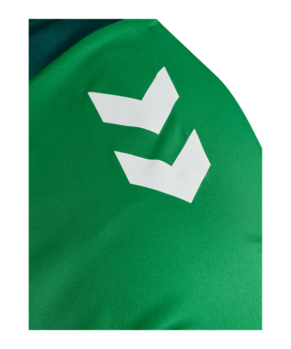 Hummel Match Triumph Trikot Grün F6439 - gruen