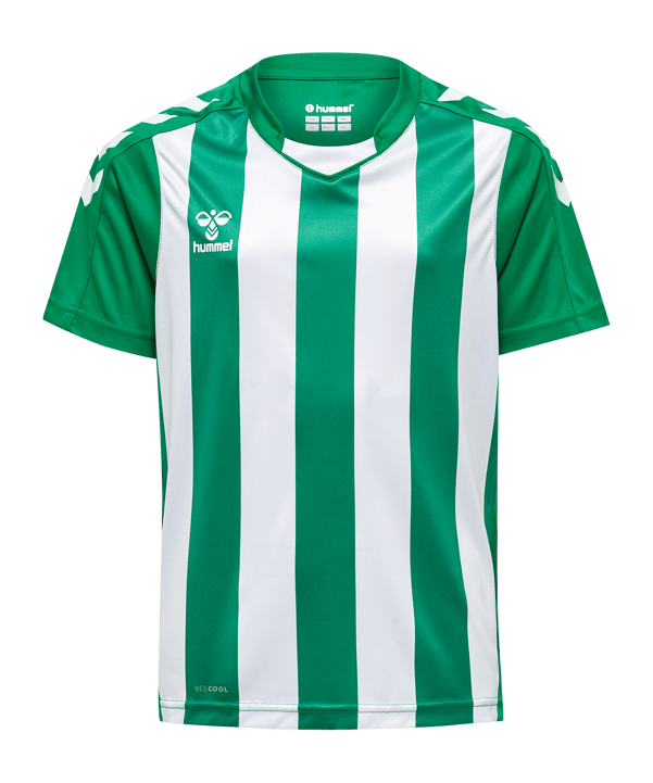 Hummel hmlCore XK Striped Trikot Kids Grün F6129 - gruen