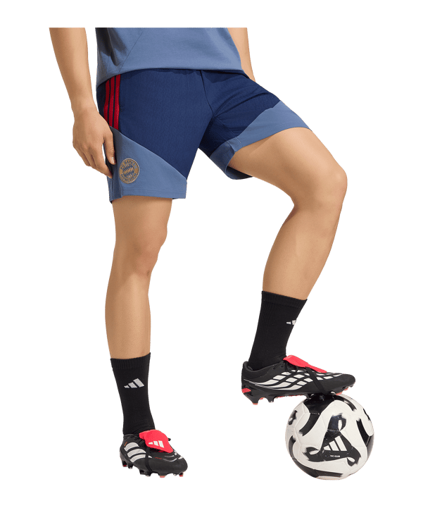 adidas FC Bayern München Downtime Short Blau - blau