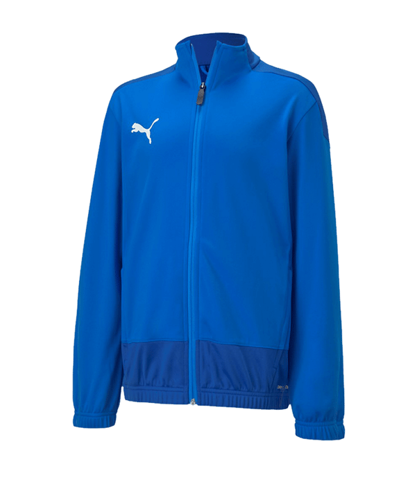 PUMA teamGOAL 23 Training Jacke Kids Blau F02 - blau