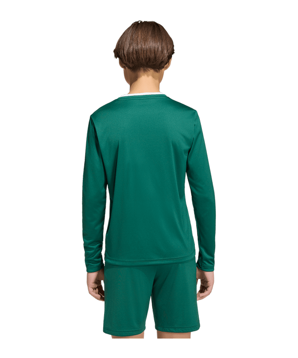 adidas Entrada 26 Trikot Langarm Kids Grün - gruen
