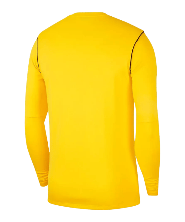 Nike Park 20 Sweatshirt Gelb Schwarz F719 - gelb