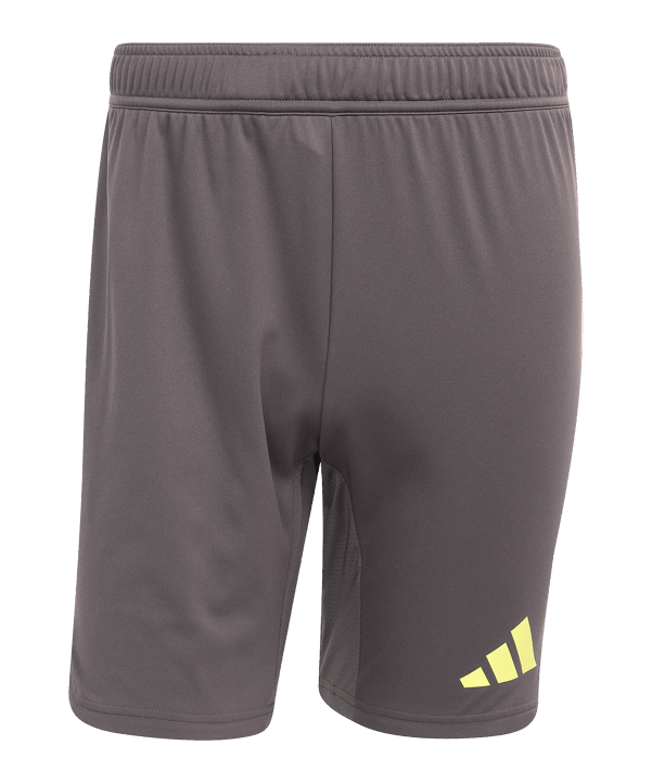 adidas Tiro 25 Pro Torwartshort Grau