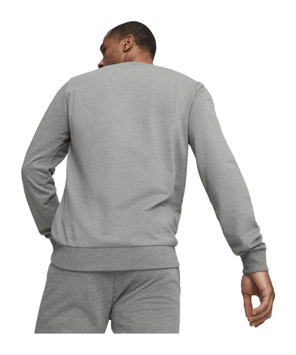 PUMA teamGOAL Casuals Sweatshirt Grau F33 - grau