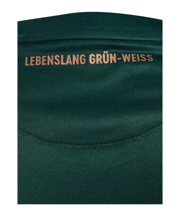 Hummel SV Werder Bremen Trikot 3rd 2025/2026 Grün F6108 - gruen