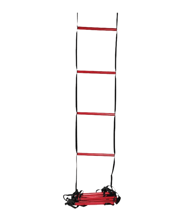 Wilson Ladder Koordinationsleiter Blau - blau