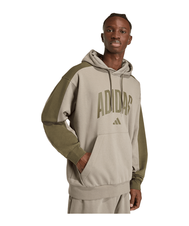 adidas Collegiate Hoody Silber - silber