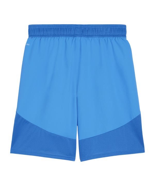 PUMA teamFINAL Short Blau Weiss Blau F02 - blau