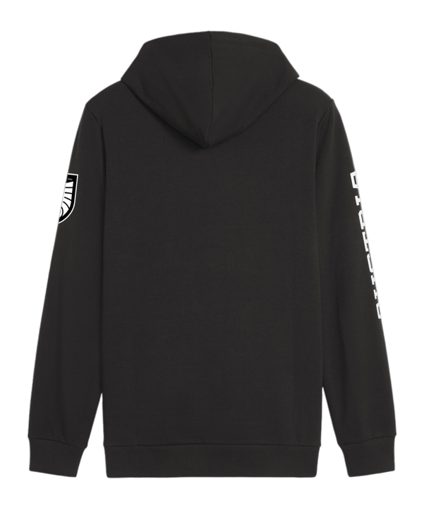 PUMA Österreich Ftbl Icons Hoody Schwarz F08 - schwarz