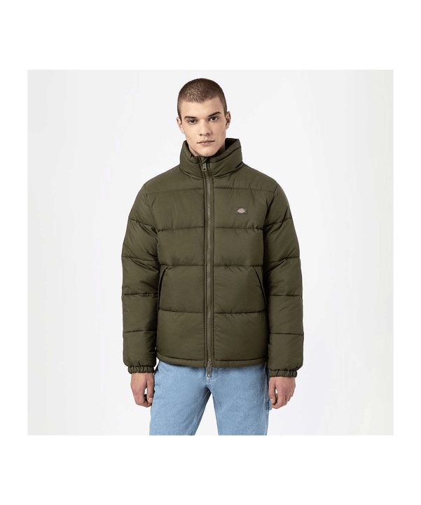 Dickie Waldenburg Puffer Jacke Grün - gruen