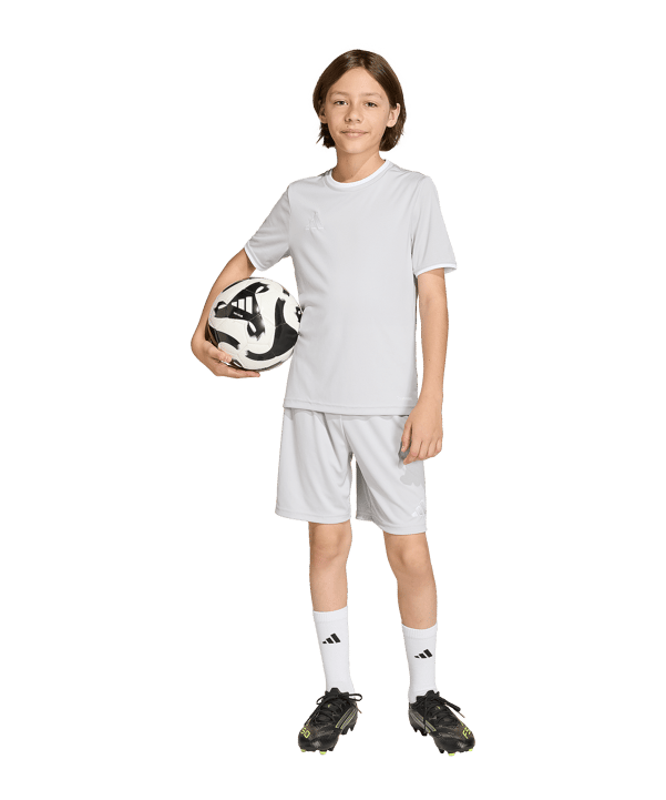 adidas Entrada 26 Trikot Kids Grau - grau