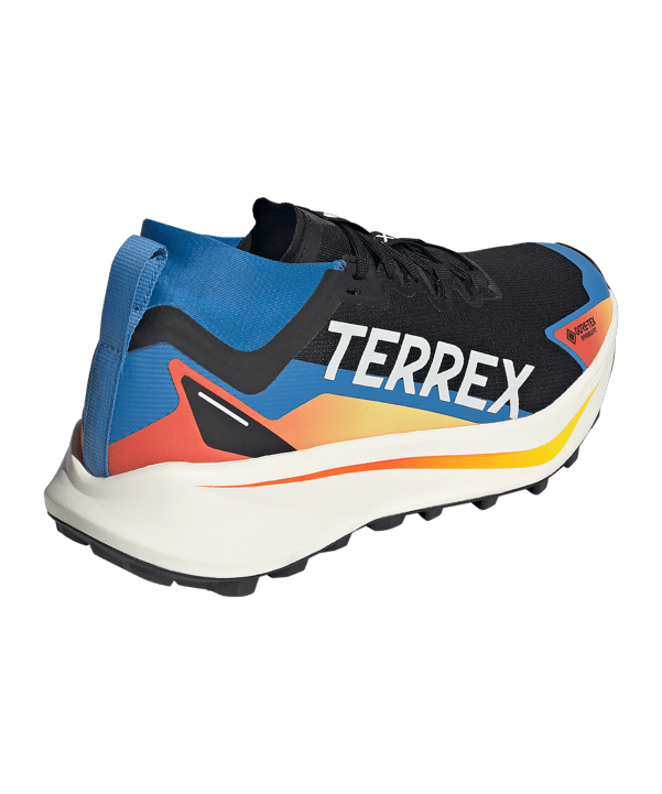 adidas TERREX Agravic GTX Laufschuh Schwarz - schwarz