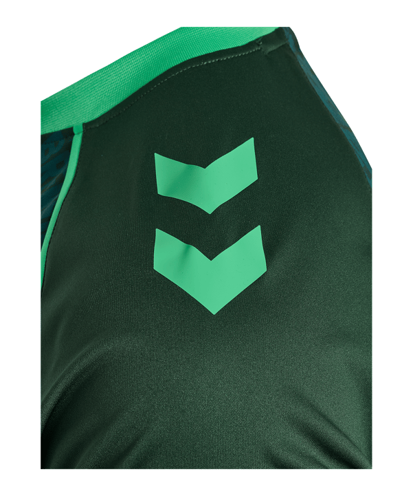 hummel SV Werder Bremen Pre Game Trikot 2026/2027 Grün F6228 - gruen