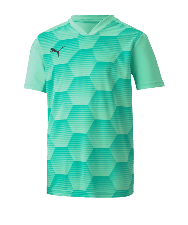 PUMA teamFINAL 21 Graphic Trikot kurzarm Grün F21 - gruen