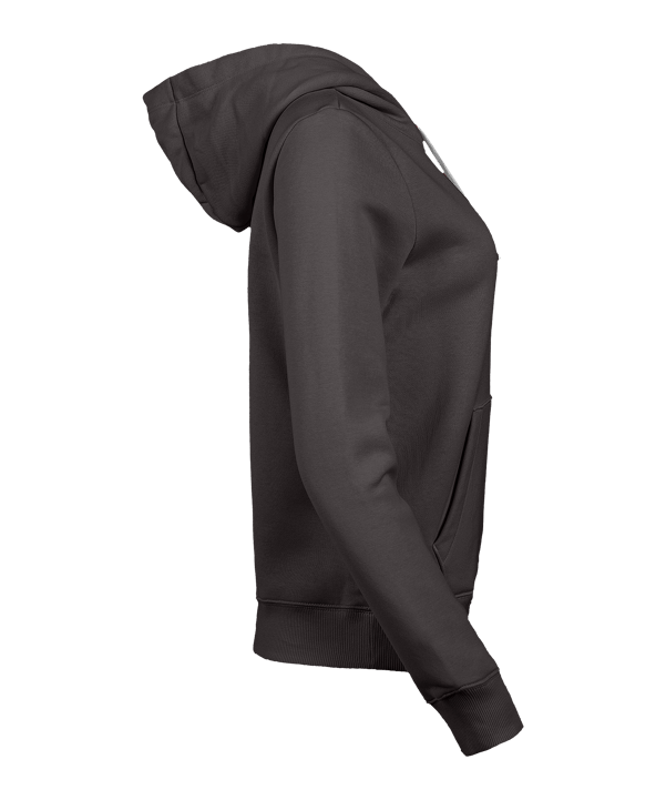 Nike Park 26 Hoody Damen Grau F071 - grau