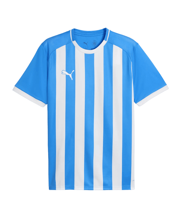 PUMA teamLIGA26 Striped Trikot Blau F02 - blau