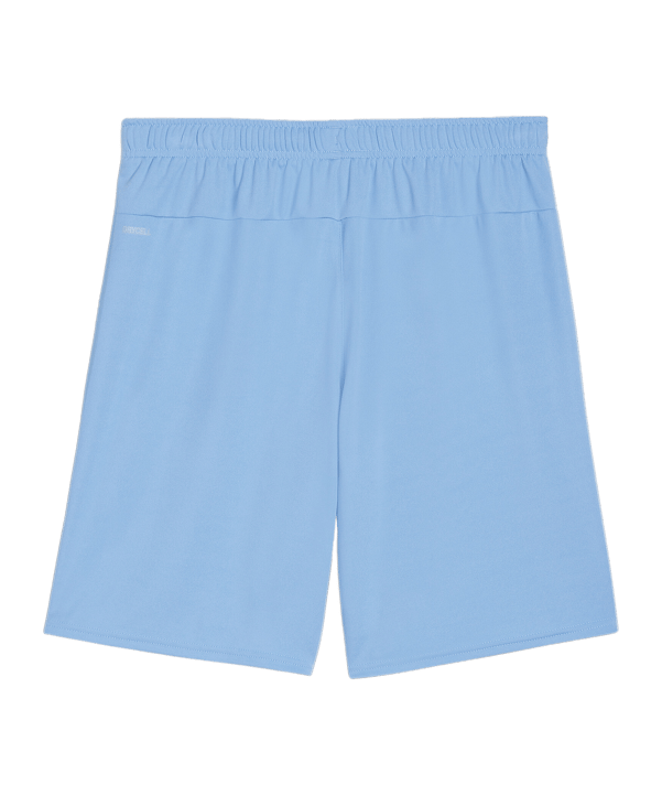 PUMA teamGOAL Short Blau Weiss F18 - blau
