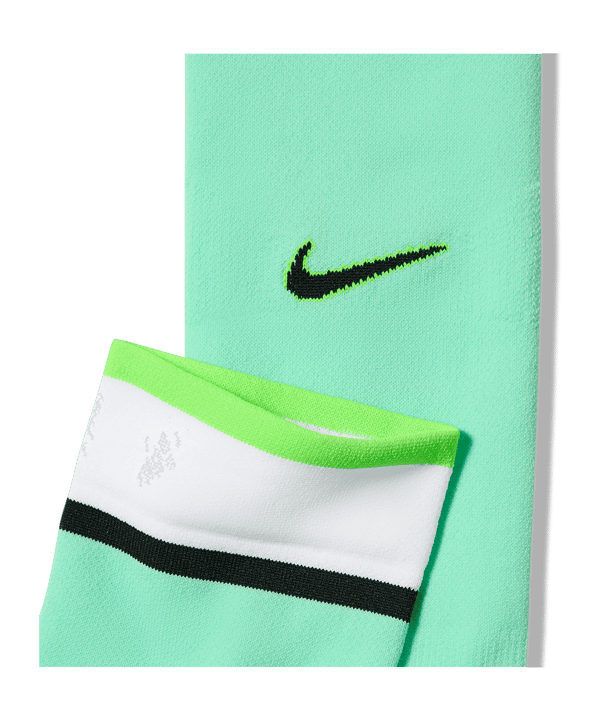 Nike NFF Nigeria Strumpfstutzen WM 2026 Grün F353 - gruen