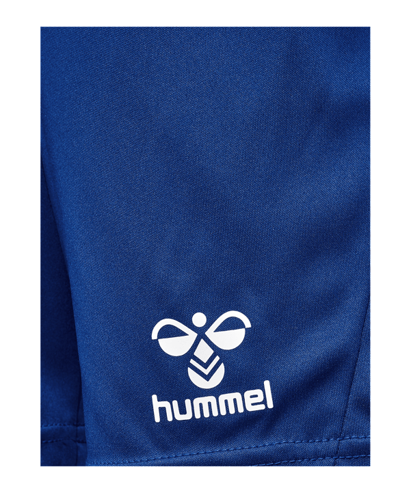 Hummel hmlLOGO Training Set Kids Blau F7045 - blau