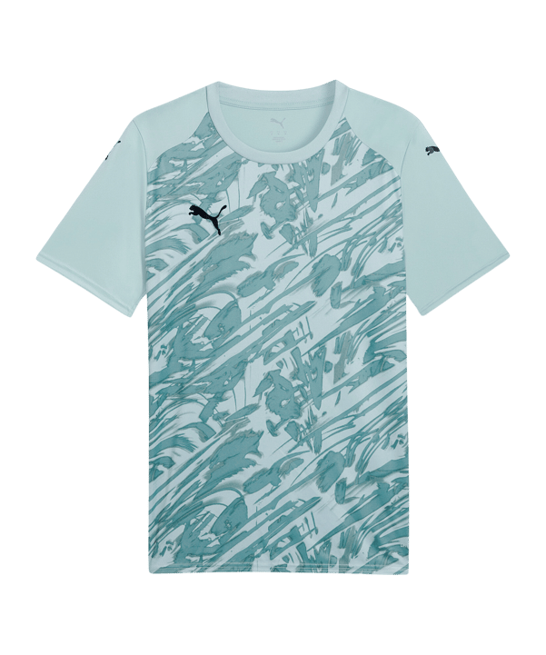 PUMA TeamFINAL Trikot Grün F41 - gruen