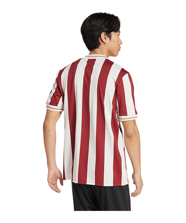 adidas Originals 1. FC Nürnberg 125th Anniversary Special Trikot Rot - rot